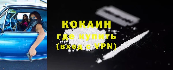 крисы Белокуриха
