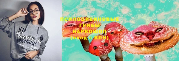 apvp Ростов