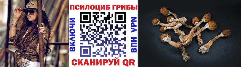 кракен   Кувандык  Псилоцибиновые грибы ЛСД  где купить наркотик 