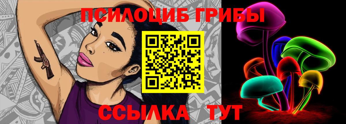 Галлюциногенные грибы Cubensis  Вход с VPN  Галлюциногенные грибы мицелий  Кувандык 