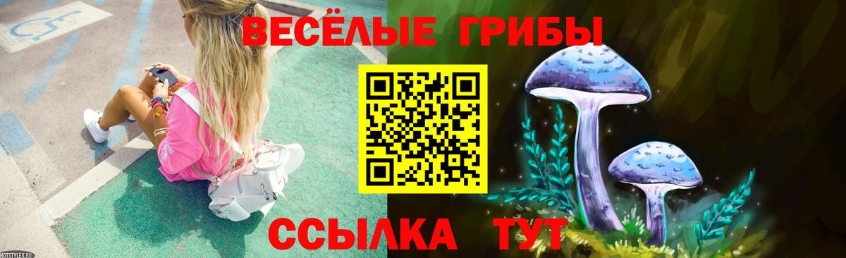 Галлюциногенные грибы Psilocybe Кувандык